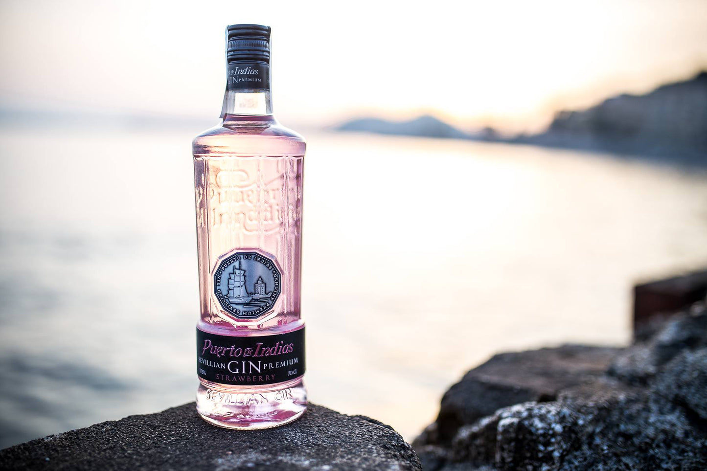 Puerto de Indias Strawberry 0.75L